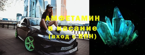 шишки Елизово