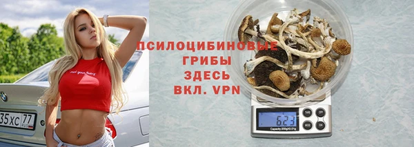 спиды Ельня