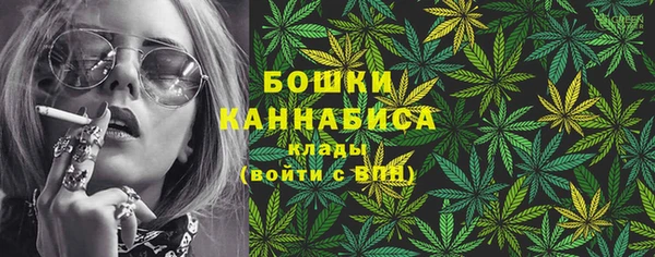 шишки Елизово