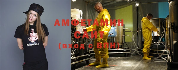 шишки Елизово
