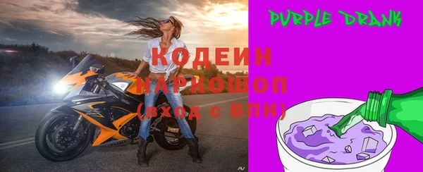 спиды Ельня