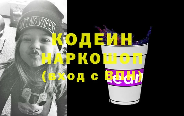 шишки Елизово