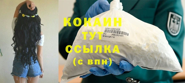 ГАЛЛЮЦИНОГЕННЫЕ ГРИБЫ Елабуга