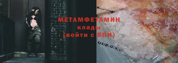 шишки Елизово