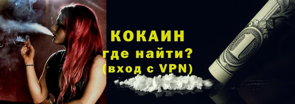 ГАЛЛЮЦИНОГЕННЫЕ ГРИБЫ Елабуга
