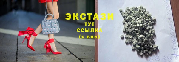 спиды Ельня
