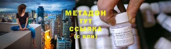 шишки Елизово