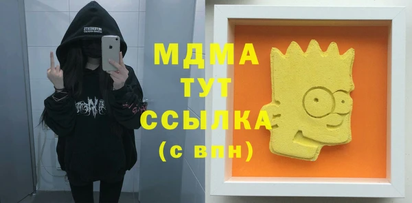спиды Ельня