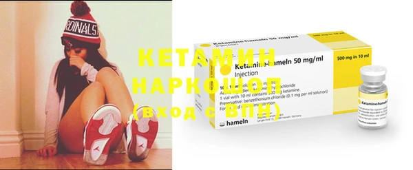 шишки Елизово