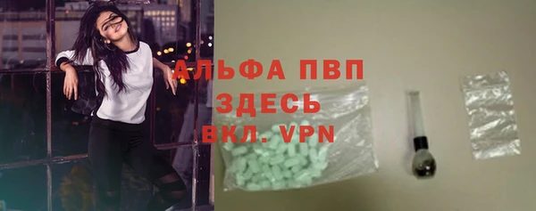 спиды Ельня