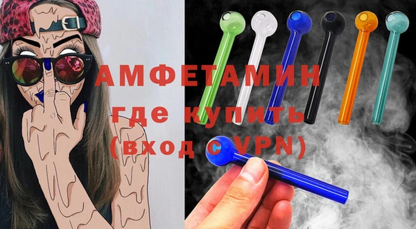 спиды Ельня