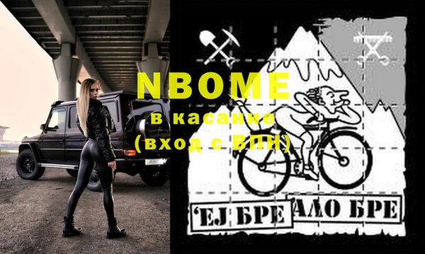 шишки Елизово