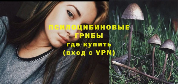шишки Елизово