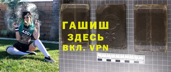 спиды Ельня