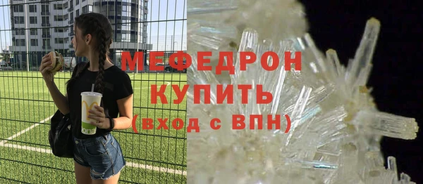 спиды Ельня