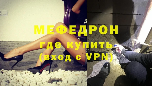 спиды Ельня