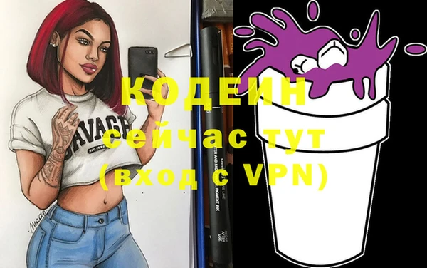 спиды Ельня