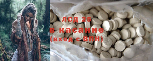 шишки Елизово