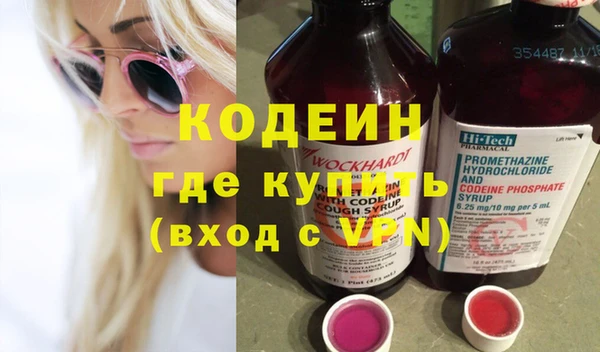 спиды Ельня