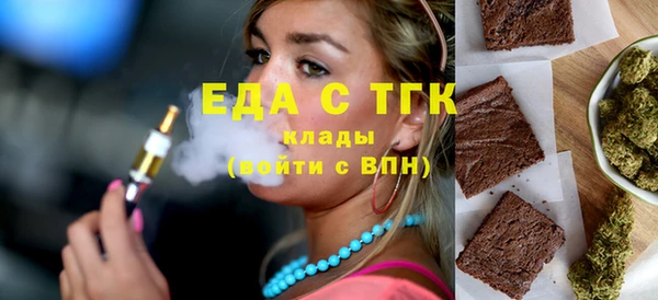 спиды Ельня