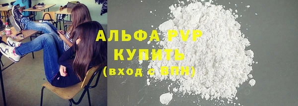 шишки Елизово