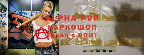шишки Елизово