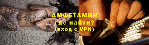 спиды Ельня