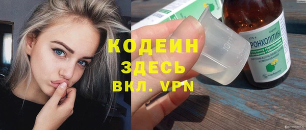 спиды Ельня