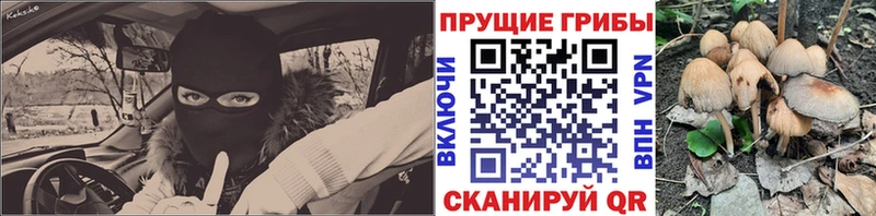 наркошоп Зубцов Псилоцибиновые грибы мухоморы